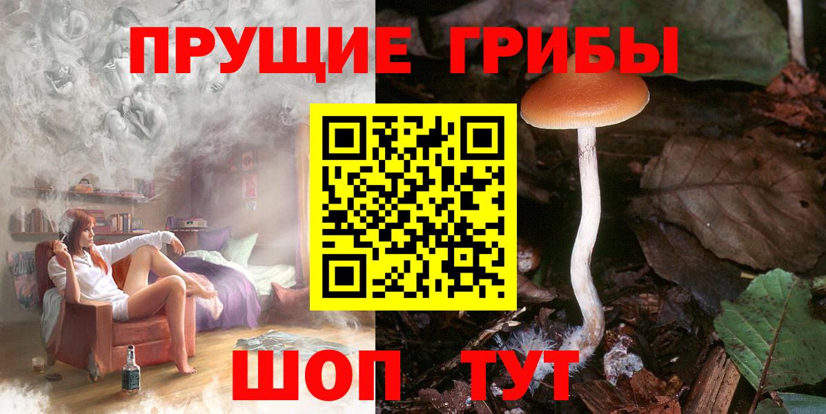 Псилоцибиновые грибы MAGIC MUSHROOMS  Псилоцибиновые грибы Psilocybe  Вход с VPN  Лянтор 